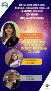 Araştırma Geliştirme Faaliyetleri