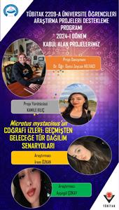 Araştırma Geliştirme Faaliyetleri